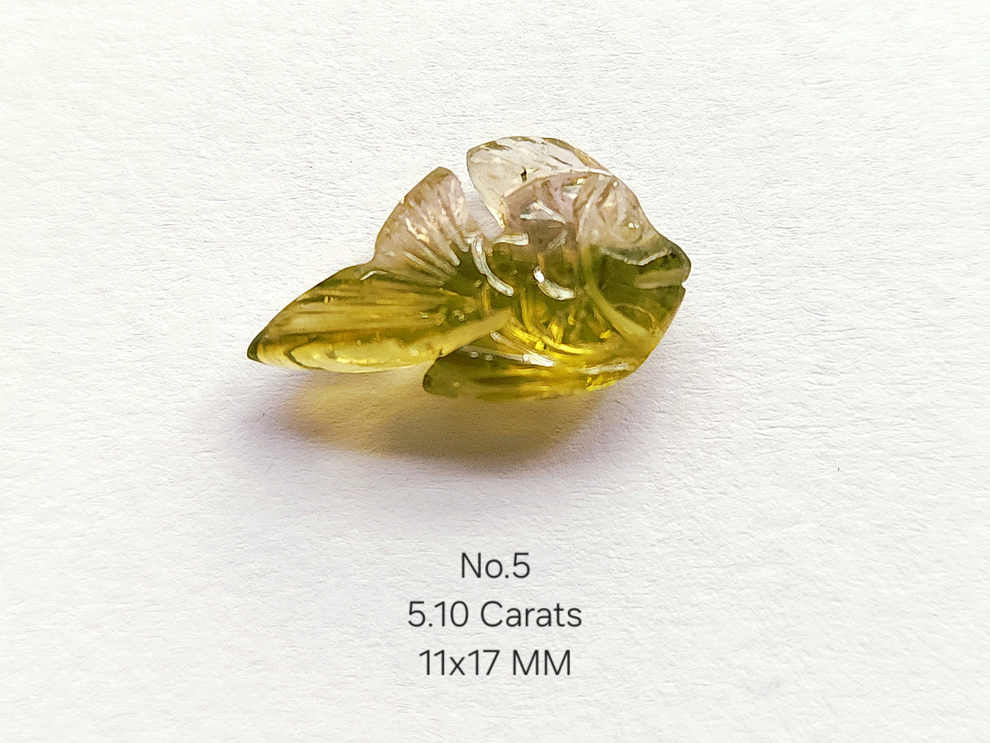 Natural Bi-Tourmaline Hand-Carved Fishes