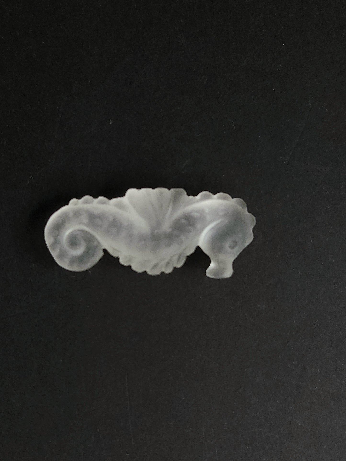 Natural Crystal Quartz Frost Carved Seahorse