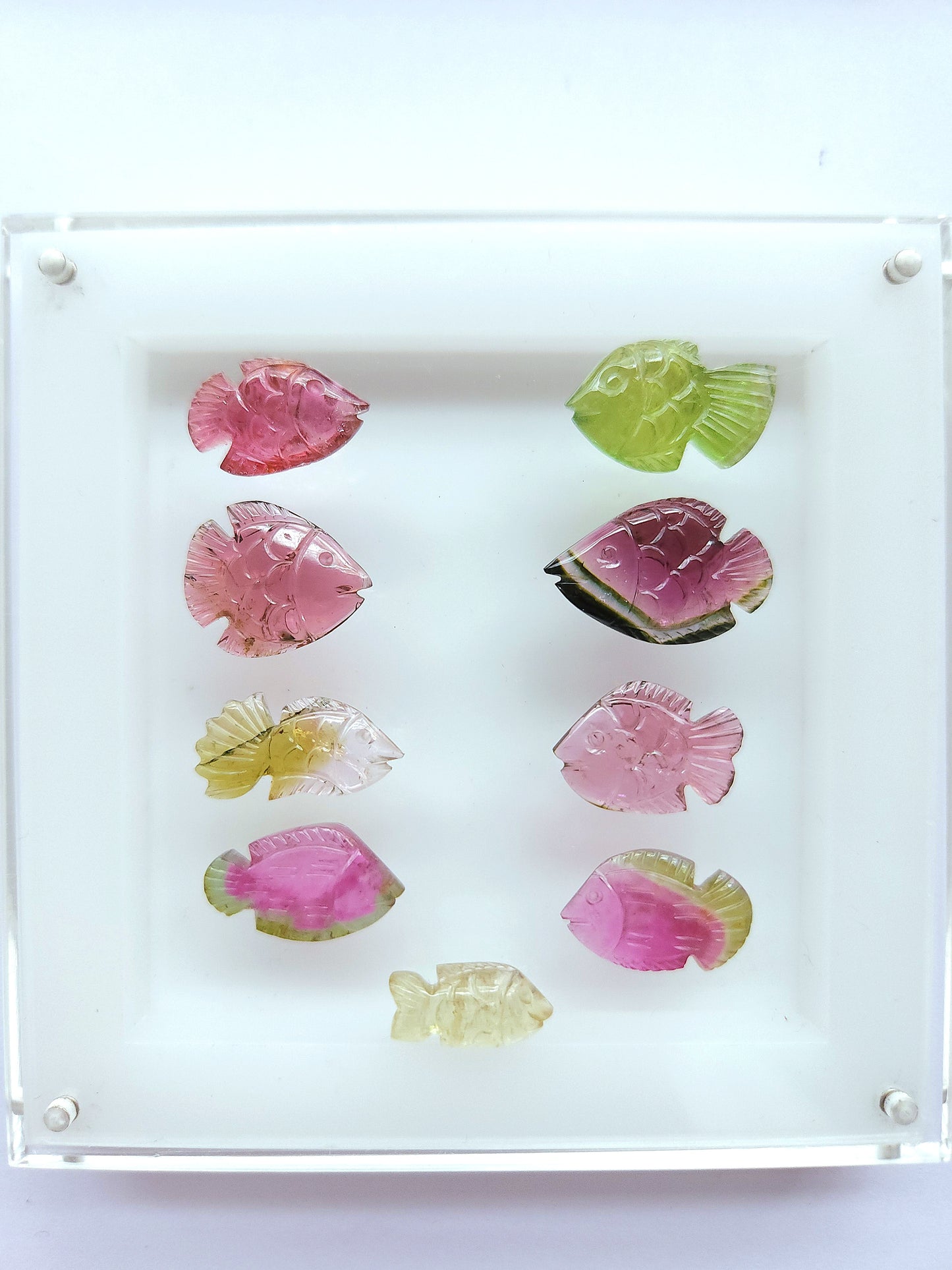 Rare! Natural Bi-Tourmaline Carved Fishes