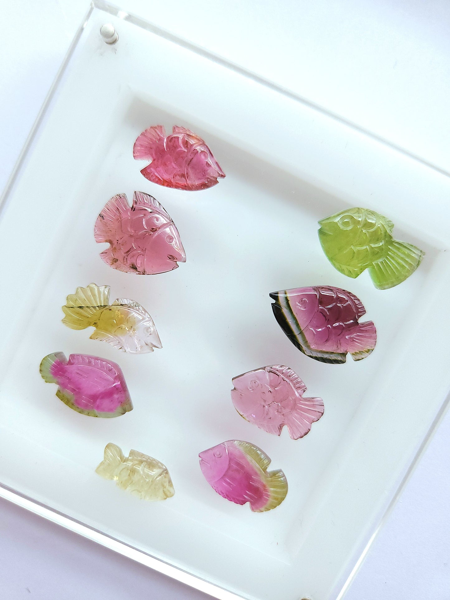 Rare! Natural Bi-Tourmaline Carved Fishes