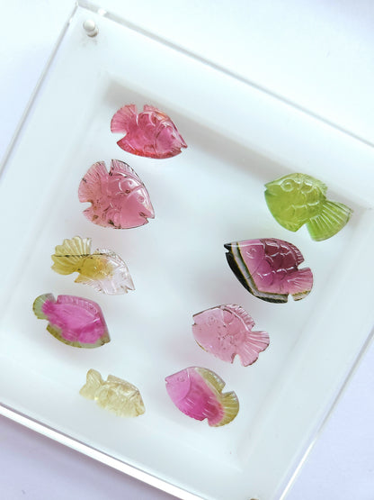 Rare! Natural Bi-Tourmaline Carved Fishes