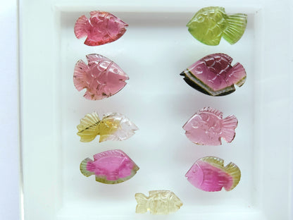 Rare! Natural Bi-Tourmaline Carved Fishes