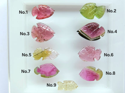 Rare! Natural Bi-Tourmaline Carved Fishes