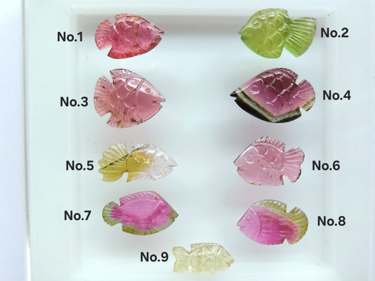 Rare! Natural Bi-Tourmaline Carved Fishes