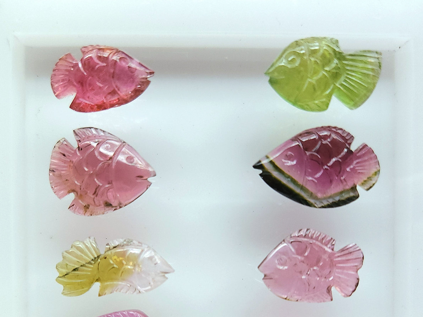 Rare! Natural Bi-Tourmaline Carved Fishes