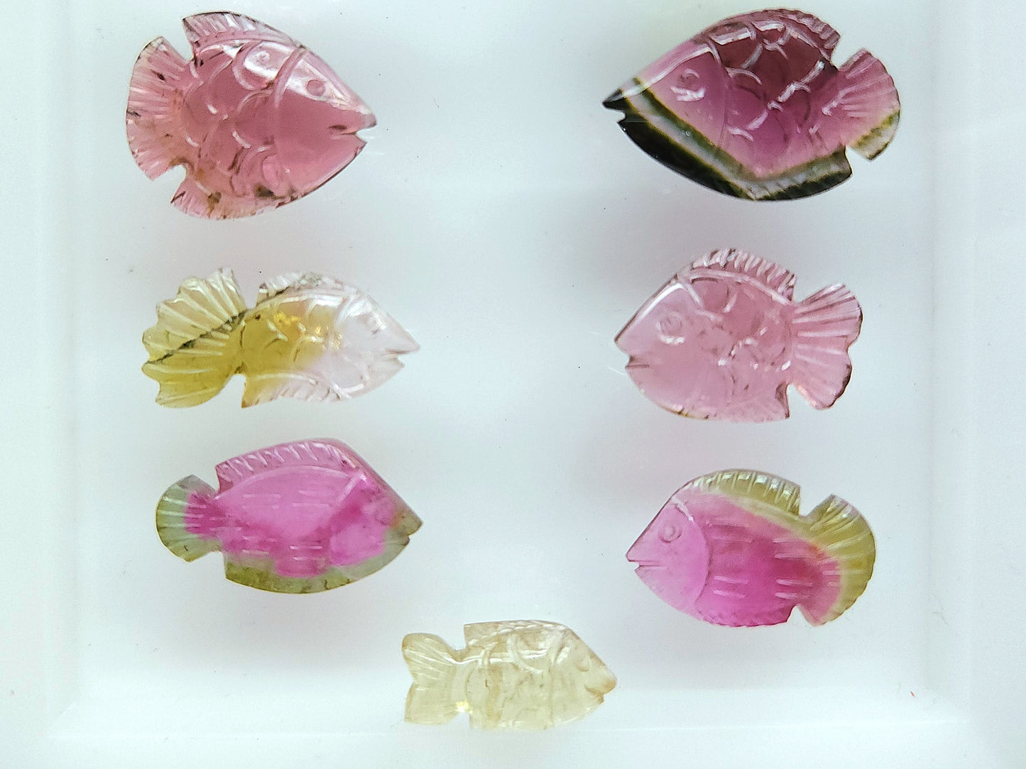 Rare! Natural Bi-Tourmaline Carved Fishes
