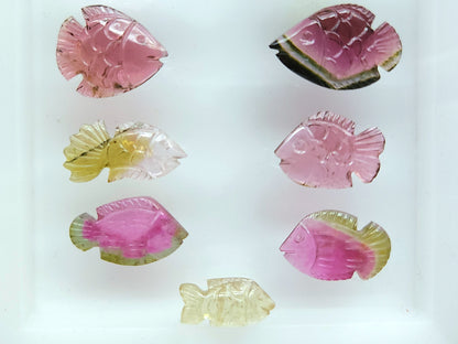 Rare! Natural Bi-Tourmaline Carved Fishes