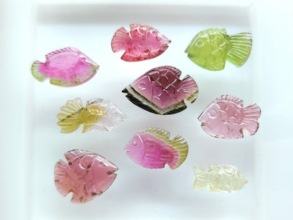 Rare! Natural Bi-Tourmaline Carved Fishes