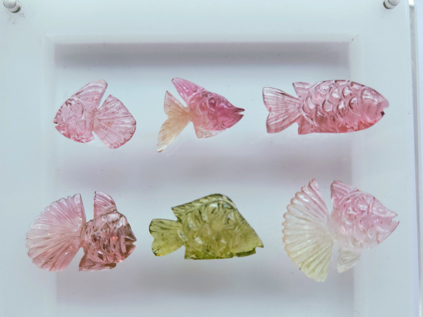 Rare! Natural Bi-Tourmaline Carved Fishes