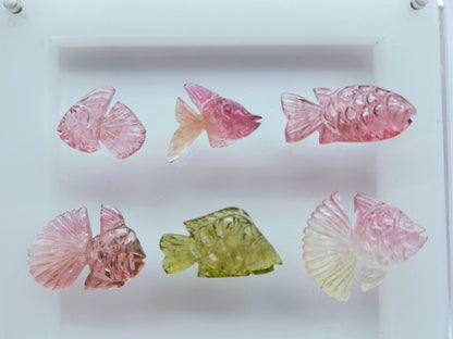 Rare! Natural Bi-Tourmaline Carved Fishes