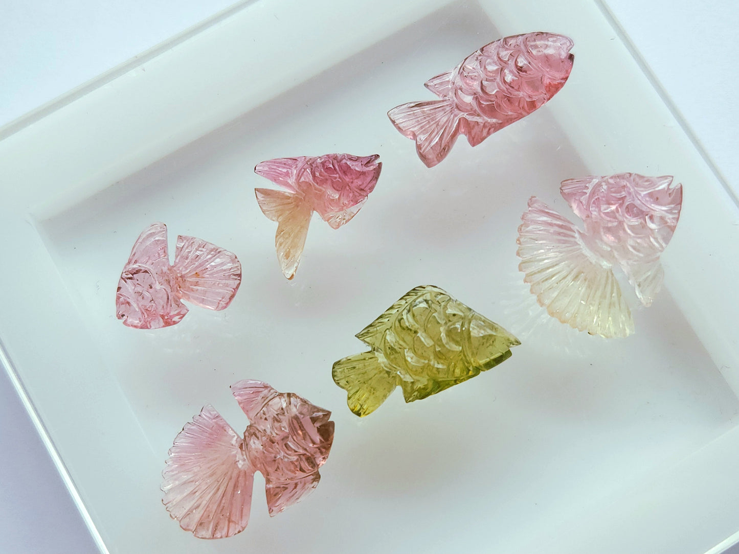 Rare! Natural Bi-Tourmaline Carved Fishes
