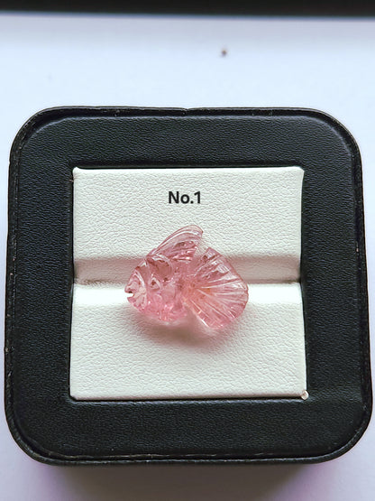 Rare! Natural Bi-Tourmaline Carved Fishes