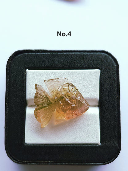 Rare! Natural Bi-Tourmaline Carved Fishes