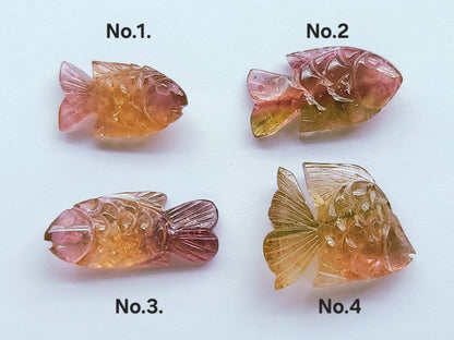 Rare! Natural Bi-Tourmaline Carved Fishes