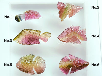 Rare! Natural Bi-Tourmaline Carved Fishes