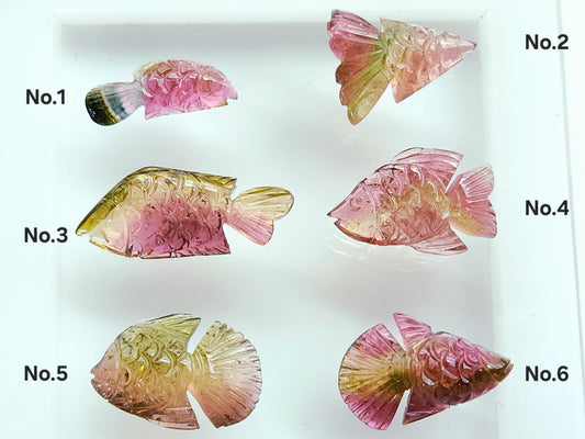 Rare! Natural Bi-Tourmaline Carved Fishes