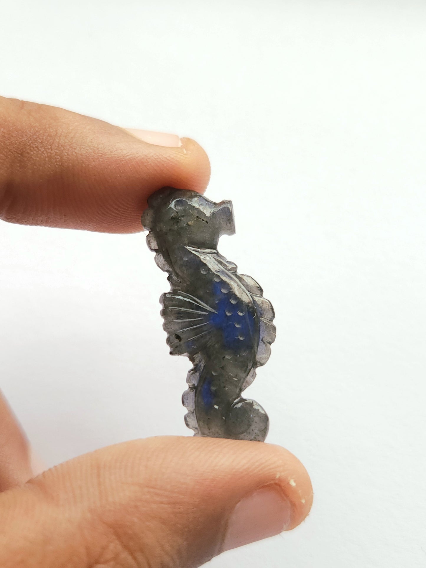 Natural Labradorite Carved Sea Horse Gemstone | Fish Carvings