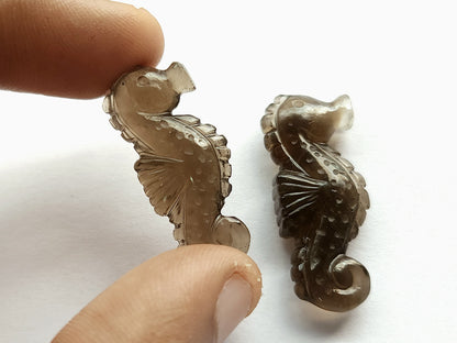 Natural Smoky Quartz Carved Sea Horse Gemstone | Fish Carvings