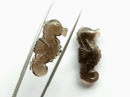 Natural Smoky Quartz Carved Sea Horse Gemstone | Fish Carvings