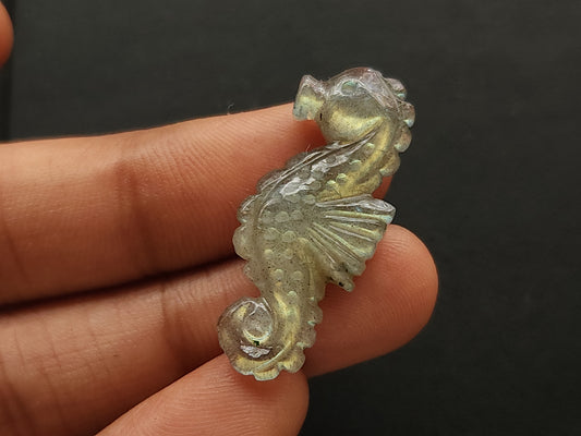 Natural Labradorite Carved Sea Horse Gemstone