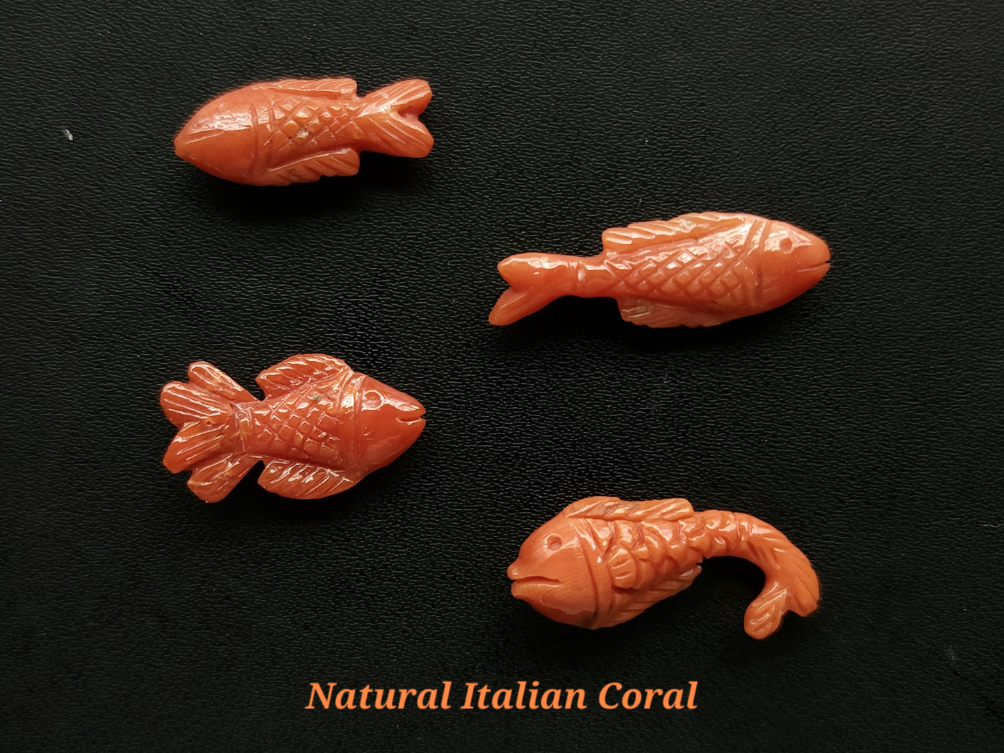 Natural Italian Coral Fish Carvings | Carved Fishes
