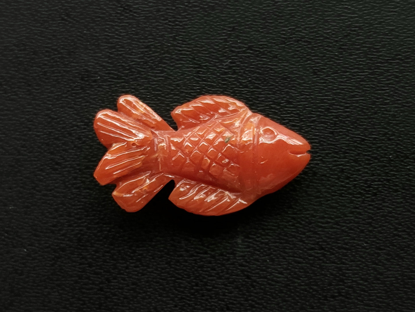Natural Italian Coral Fish Carvings | Carved Fishes