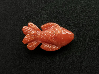 Natural Italian Coral Fish Carvings | Carved Fishes