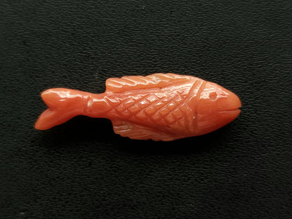 Natural Italian Coral Fish Carvings | Carved Fishes