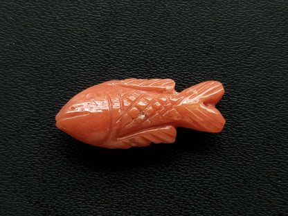 Natural Italian Coral Fish Carvings | Carved Fishes