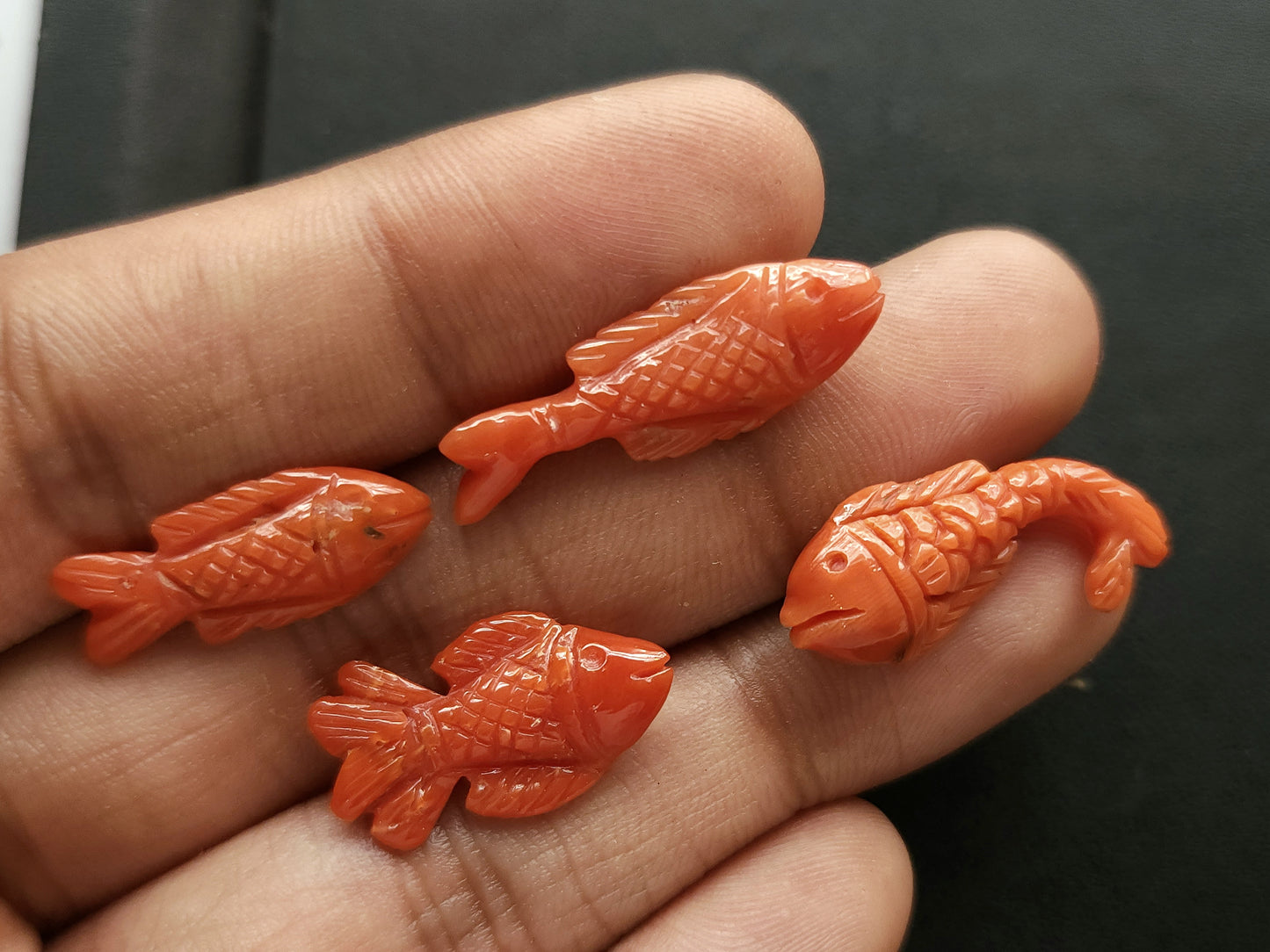 Natural Italian Coral Fish Carvings | Carved Fishes