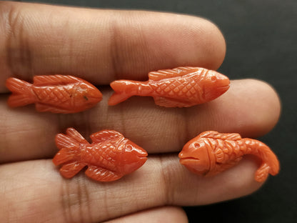 Natural Italian Coral Fish Carvings | Carved Fishes