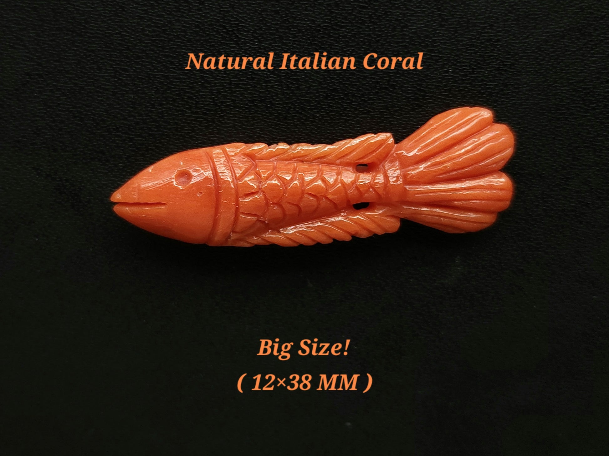 Natural Italian Coral Fish Carvings | Rare Size! Red Coral Gemstone Carvings For Pendants, Charms & Jewelry Making | 12x38 MM |Carved Fishes
