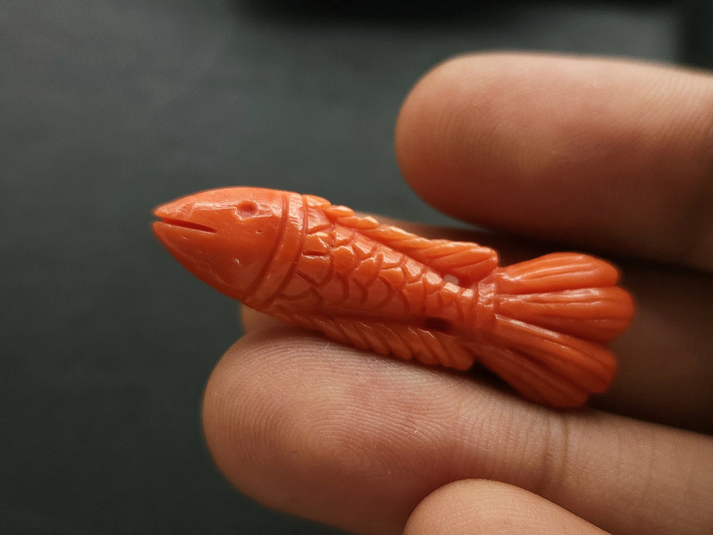 Natural Italian Coral Fish Carvings | Red Coral Gemstone Carvings
