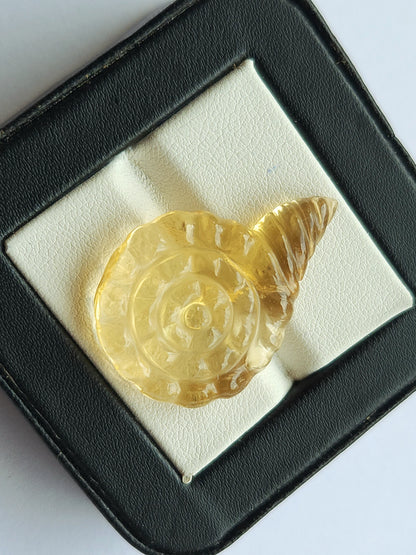 Natural Citrine Sea Shell Carving