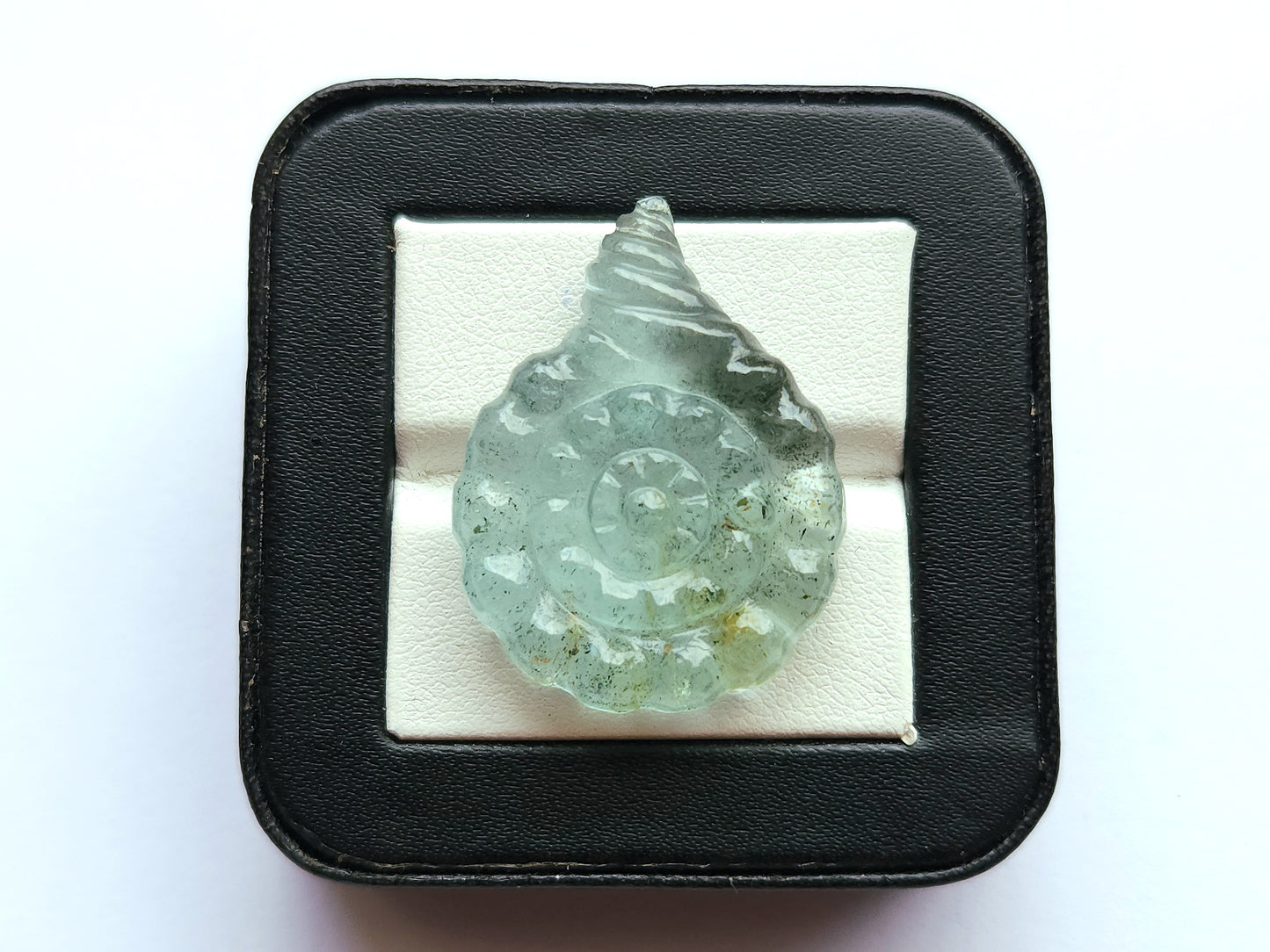 Natural Aquamarine Sea Shell Carving