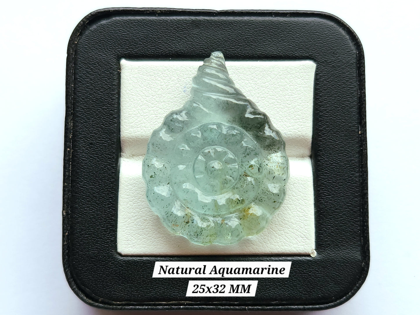 Natural Aquamarine Sea Shell Carving