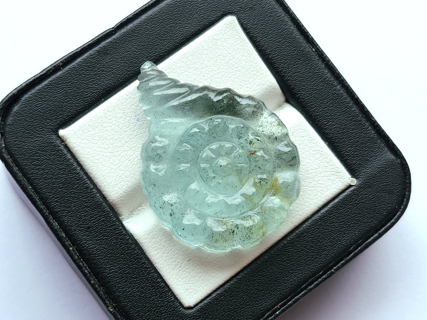 Natural Aquamarine Sea Shell Carving