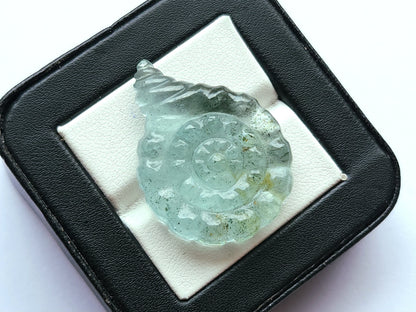 Natural Aquamarine Sea Shell Carving