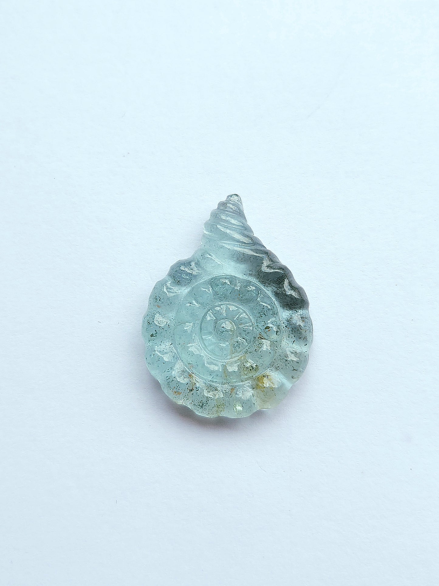 Natural Aquamarine Sea Shell Carving