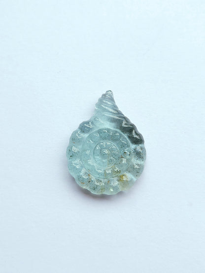 Natural Aquamarine Sea Shell Carving