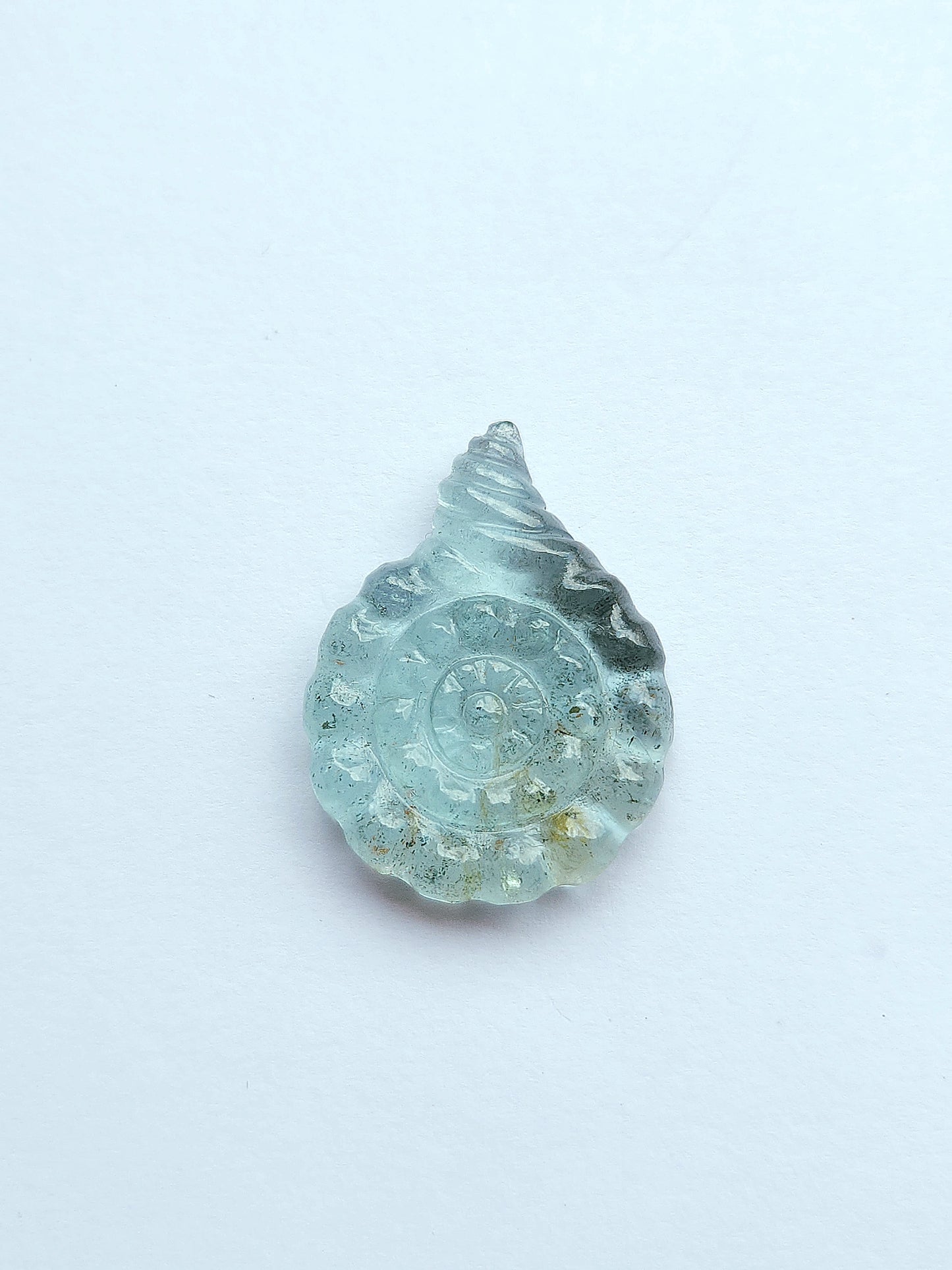 Natural Aquamarine Sea Shell Carving