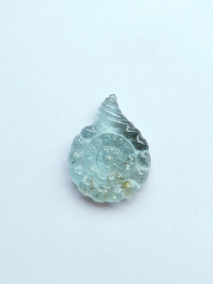 Natural Aquamarine Sea Shell Carving
