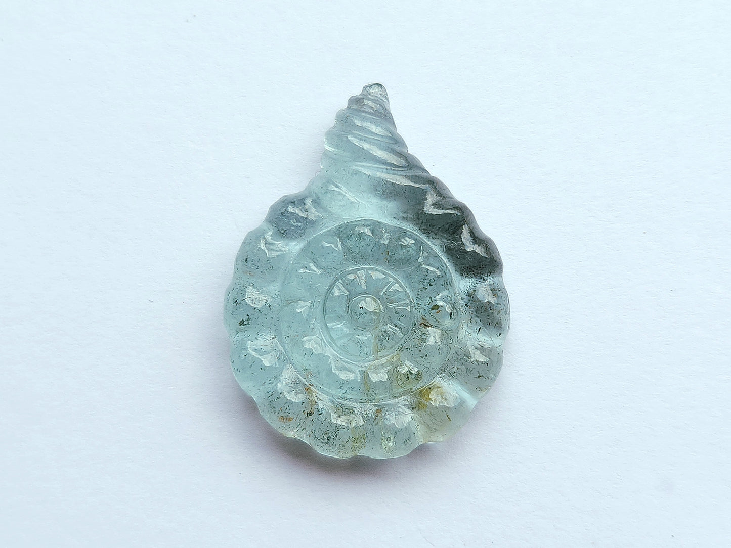 Natural Aquamarine Sea Shell Carving