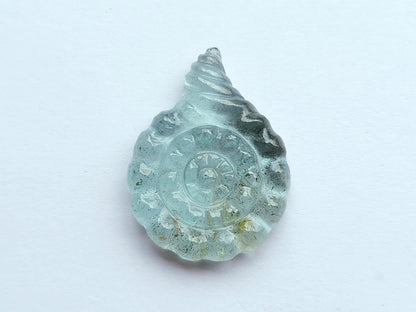 Natural Aquamarine Sea Shell Carving