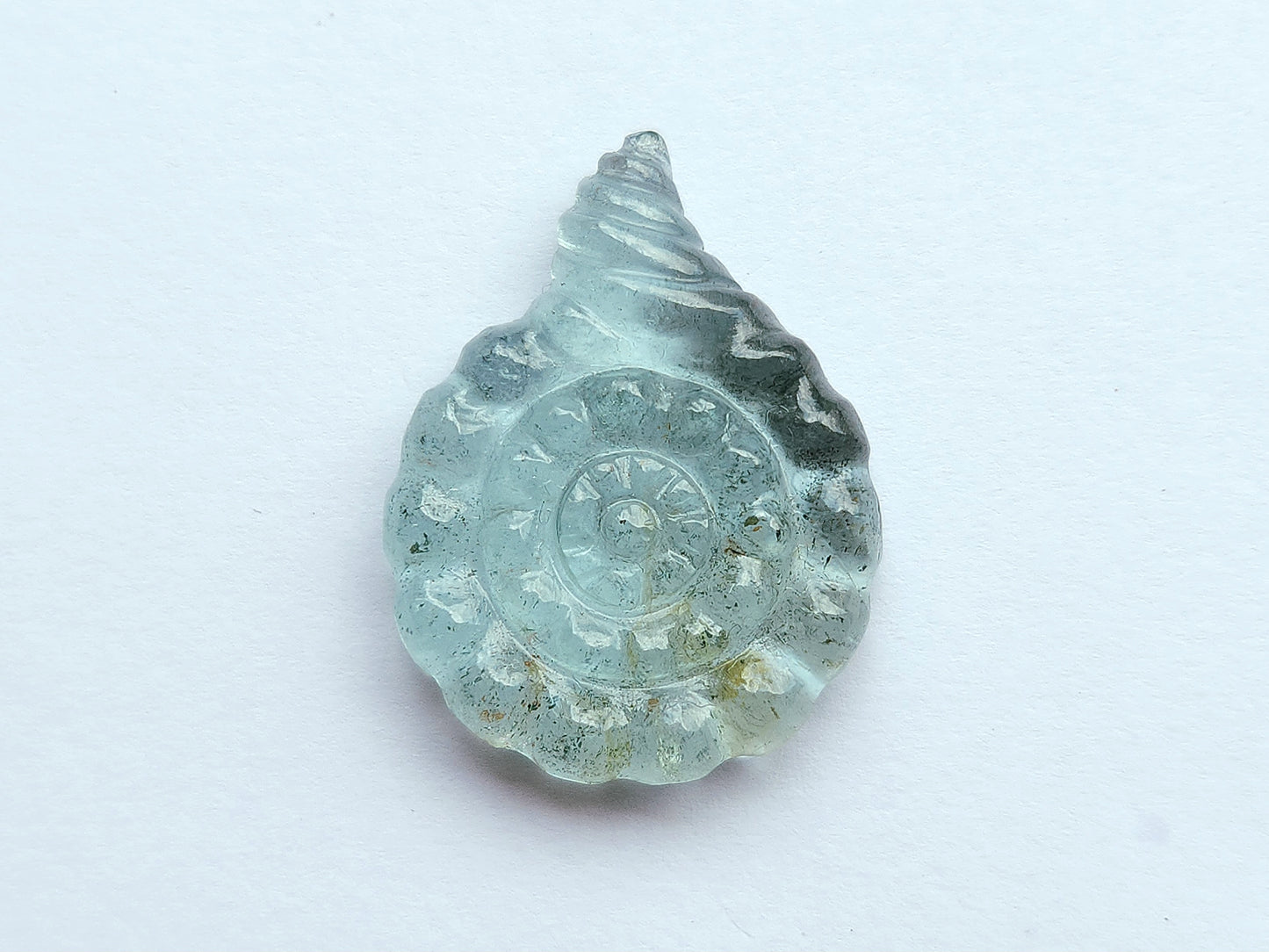Natural Aquamarine Sea Shell Carving