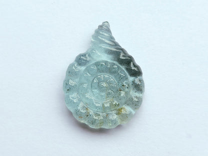 Natural Aquamarine Sea Shell Carving