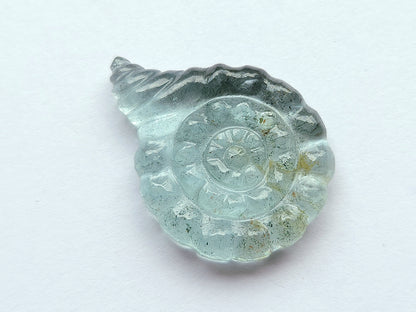 Natural Aquamarine Sea Shell Carving