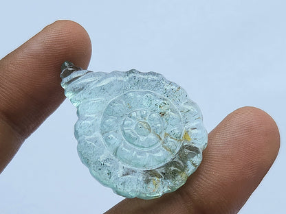 Natural Aquamarine Sea Shell Carving
