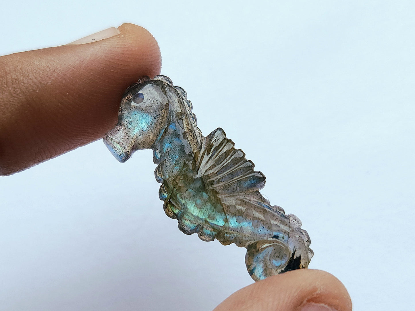 Natural Labradorite Carved Sea Horse | Gemstone Fish Carvings