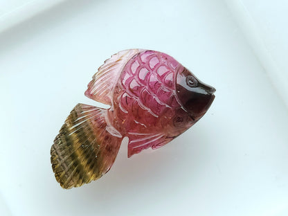 Natural Bi-Tourmaline Carved Fishes For Charms & Pendants